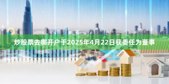 炒股票去哪开户于2025年4月22日获委任为董事