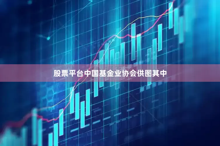 股票平台中国基金业协会供图其中