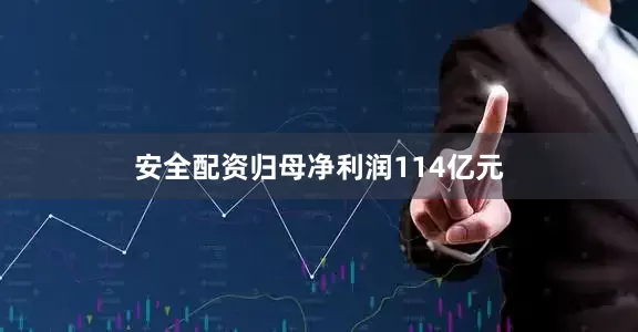 安全配资归母净利润114亿元