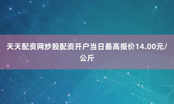 天天配资网炒股配资开户当日最高报价14.00元/公斤