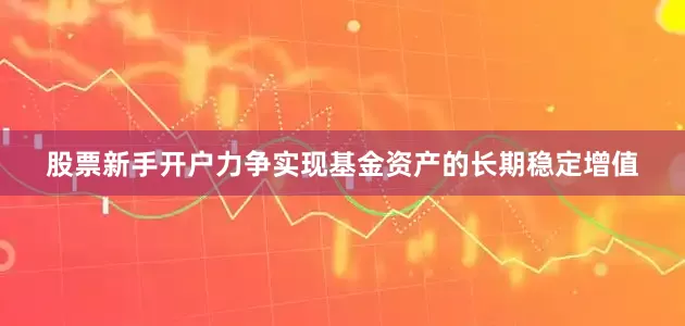 股票新手开户力争实现基金资产的长期稳定增值