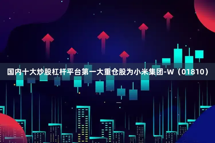 国内十大炒股杠杆平台第一大重仓股为小米集团-W（01810）