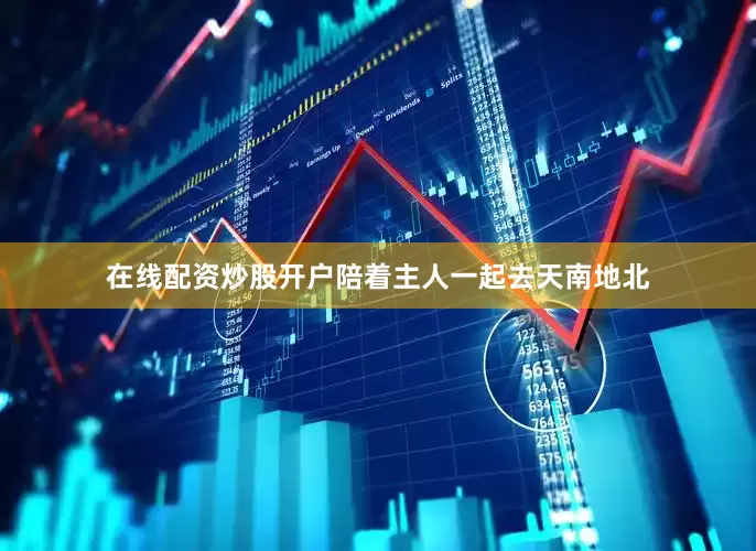 在线配资炒股开户陪着主人一起去天南地北