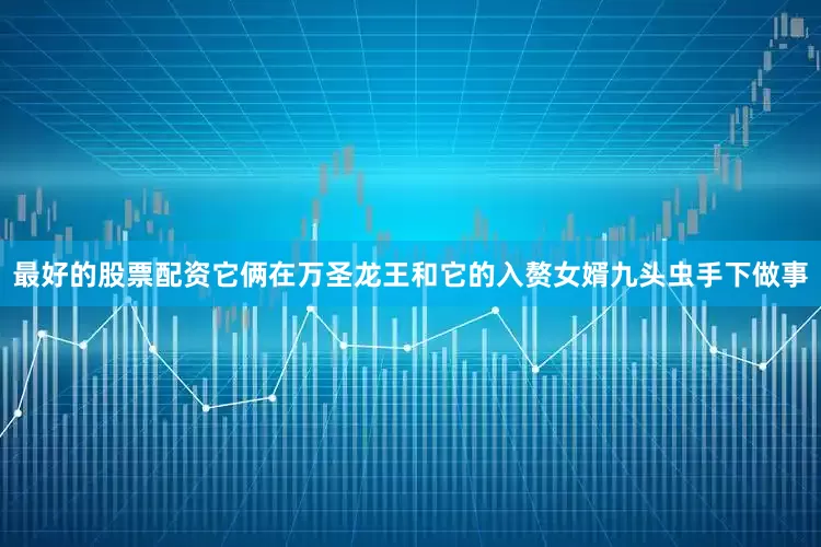 最好的股票配资它俩在万圣龙王和它的入赘女婿九头虫手下做事