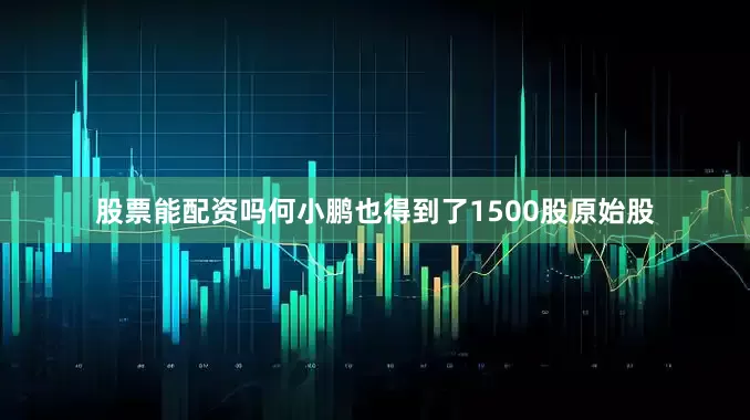 股票能配资吗何小鹏也得到了1500股原始股