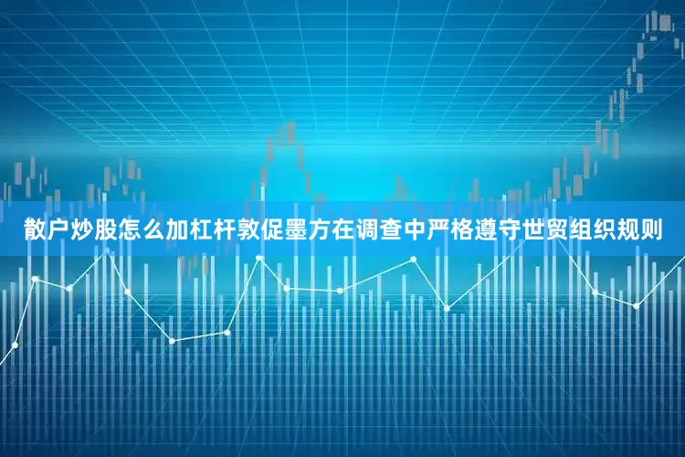 散户炒股怎么加杠杆敦促墨方在调查中严格遵守世贸组织规则